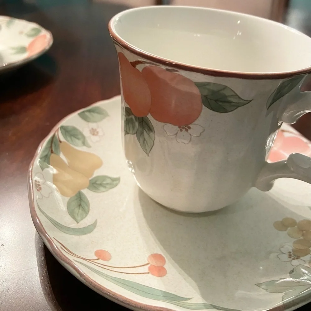Mikasa Country Classics Cup and Saucer Tea/Coffee Fruit Panorama Set of 6